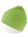 Atlantis Headwear AT100 Oak Beanie
