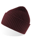 Atlantis Headwear AT100 Oak Beanie