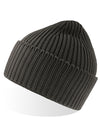 Atlantis Headwear AT100 Oak Beanie