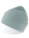 Atlantis Headwear AT100 Oak Beanie