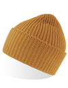 Atlantis Headwear AT100 Oak Beanie
