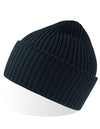 Atlantis Headwear AT100 Oak Beanie