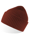 Atlantis Headwear AT100 Oak Beanie