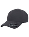 FLEXFIT FX180AP Delta Snapback